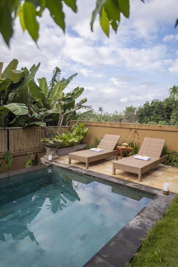 Umah Tikari Guesthouse Canggu Exteriér fotografie