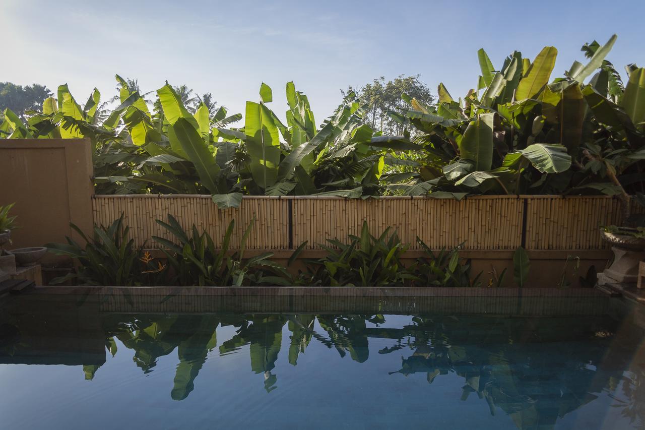 Umah Tikari Guesthouse Canggu Exteriér fotografie
