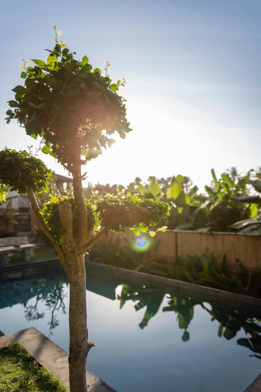 Umah Tikari Guesthouse Canggu Exteriér fotografie